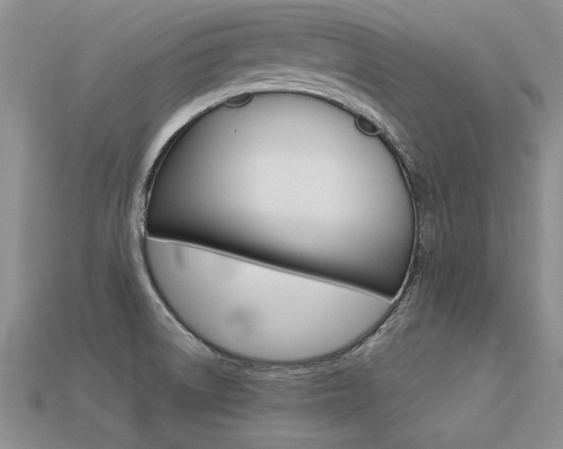X0000113311522200909140955
