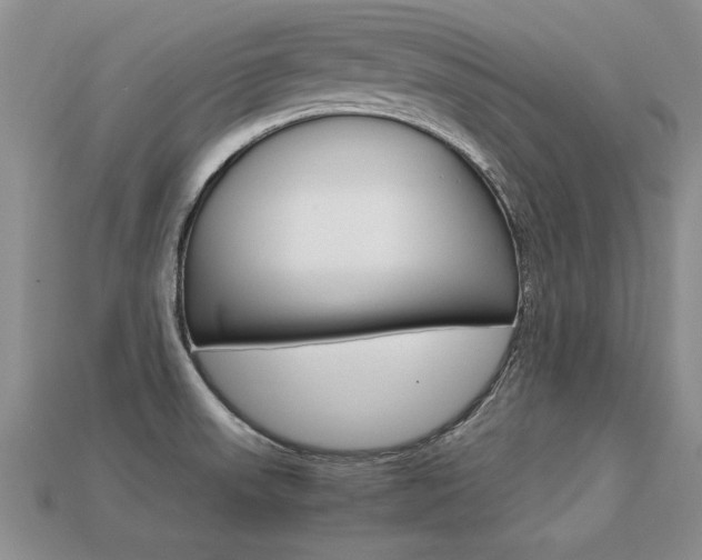 X0000113311523200909140955