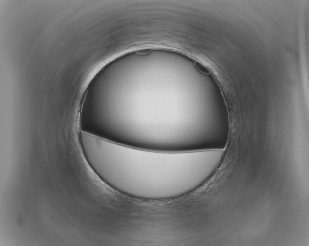 X0000113311524200909140955