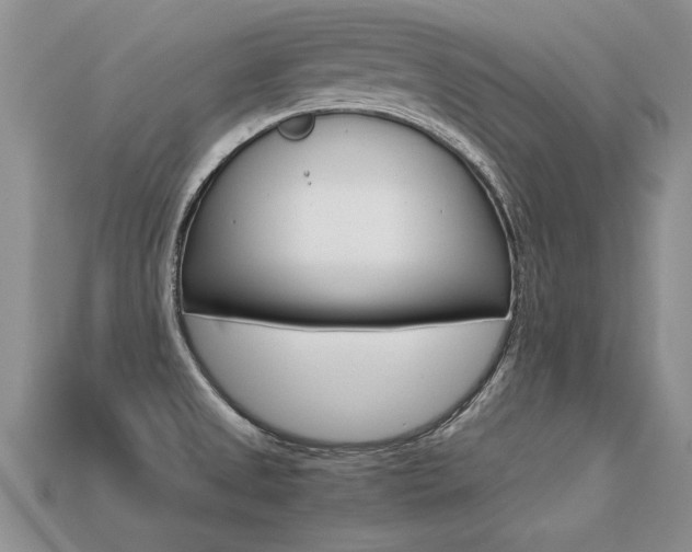 X0000113311525200909140955
