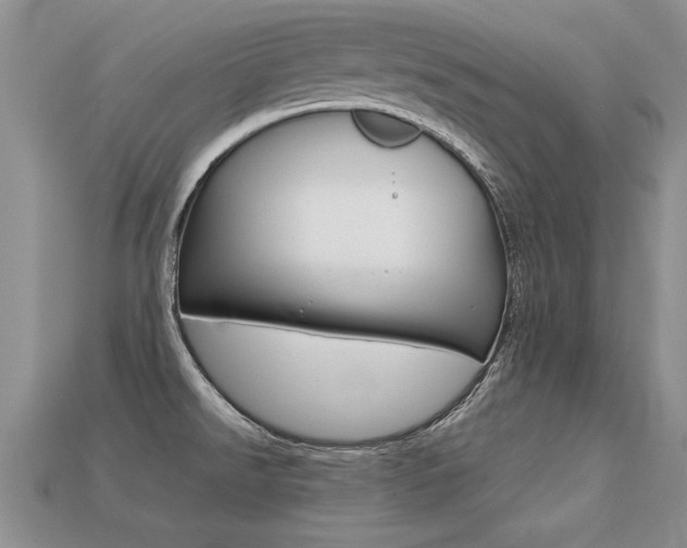 X0000113311526200909140955