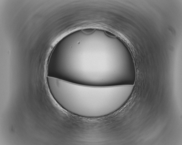 X0000113311528200909140955
