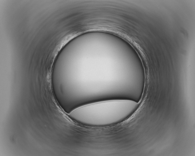 X0000113311529200909140955