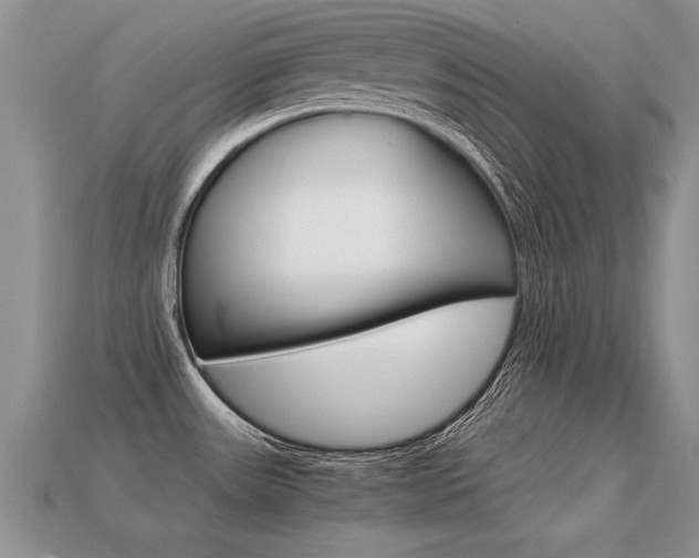 X0000113311531200909140955