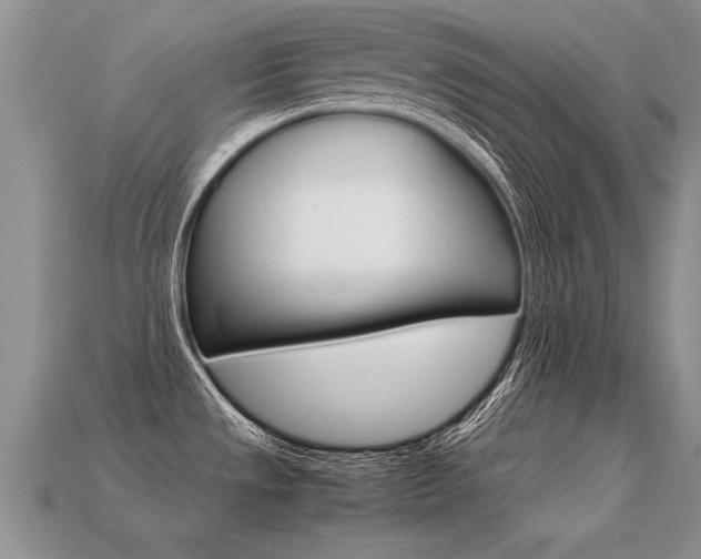 X0000113311533200909140955