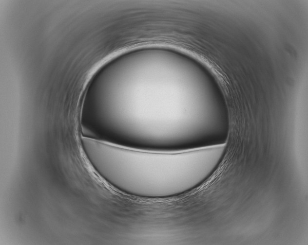 X0000113311534200909140955
