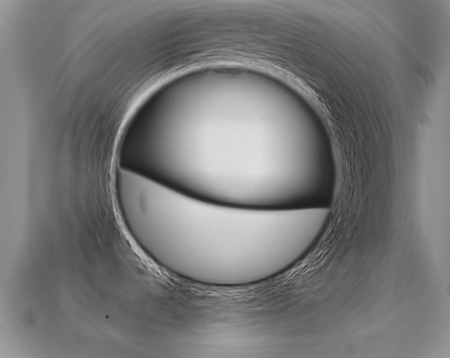 X0000113311536200909140955