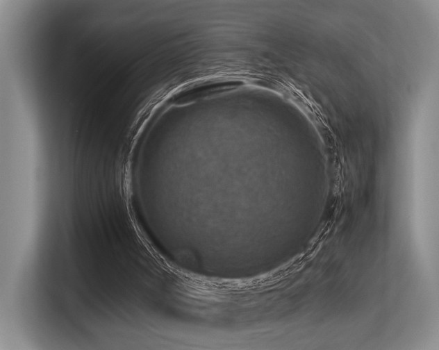 X0000113310002200909141321