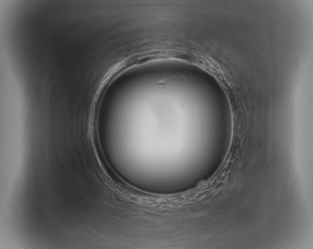 X0000113310003200909141321