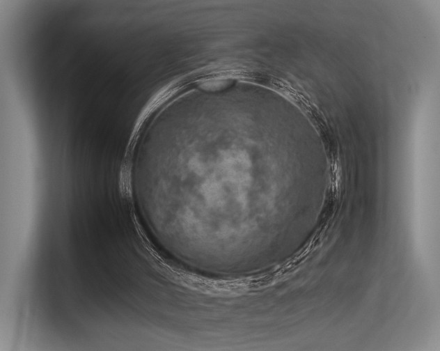 X0000113310004200909141321