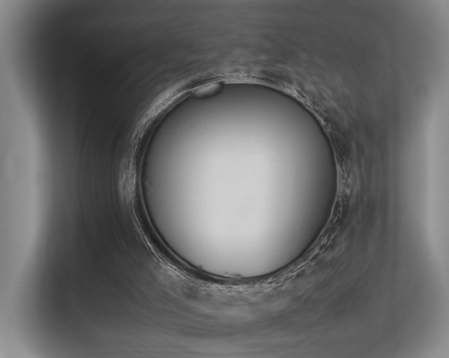 X0000113310005200909141321