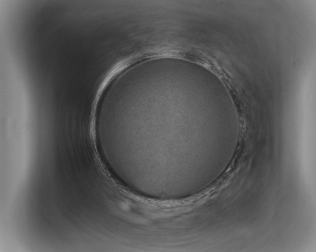 X0000113310006200909141321