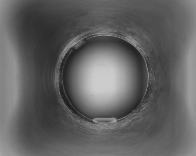 X0000113310007200909141321