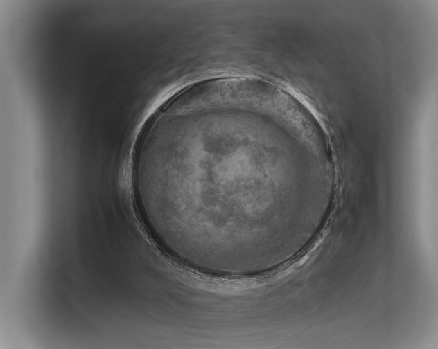 X0000113310008200909141321