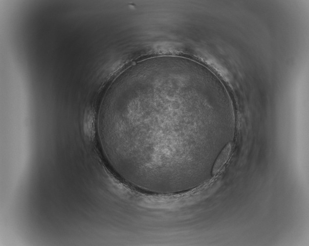 X0000113310009200909141321