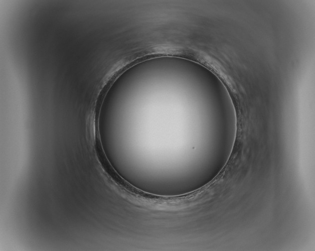 X0000113310011200909141321