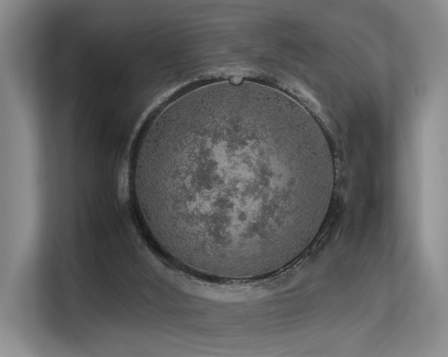 X0000113310012200909141321