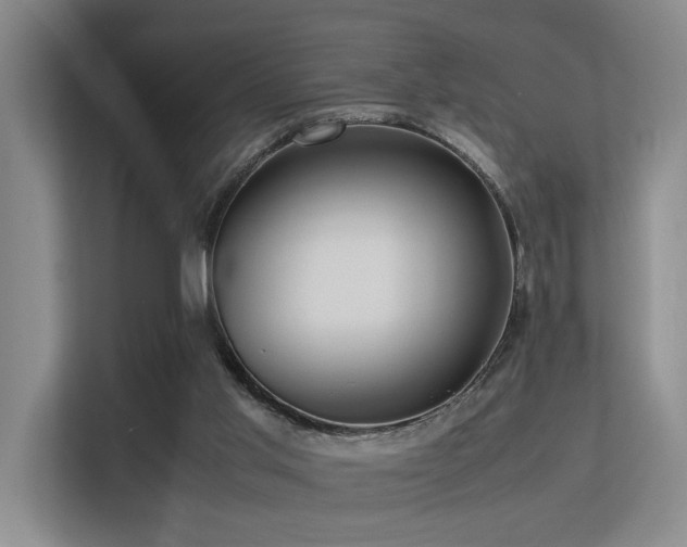 X0000113310013200909141321