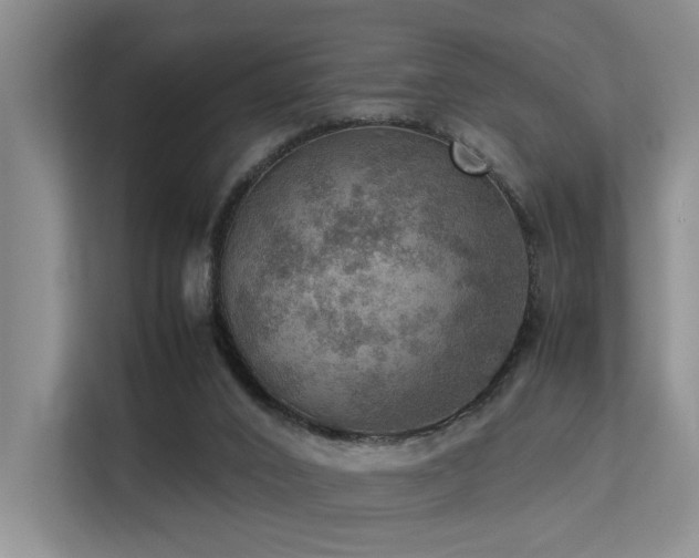 X0000113310016200909141321