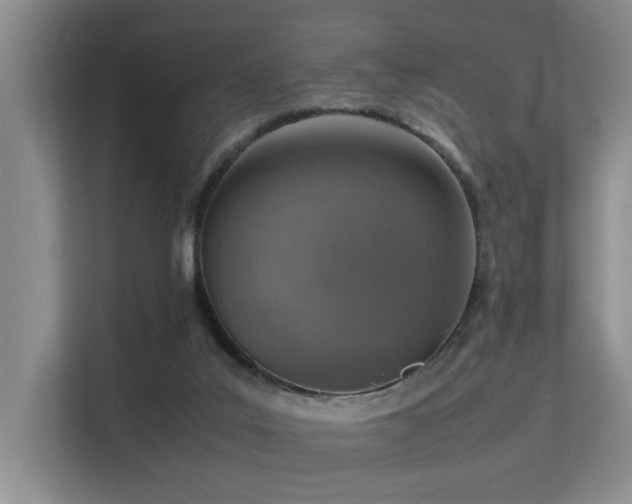 X0000113310019200909141321