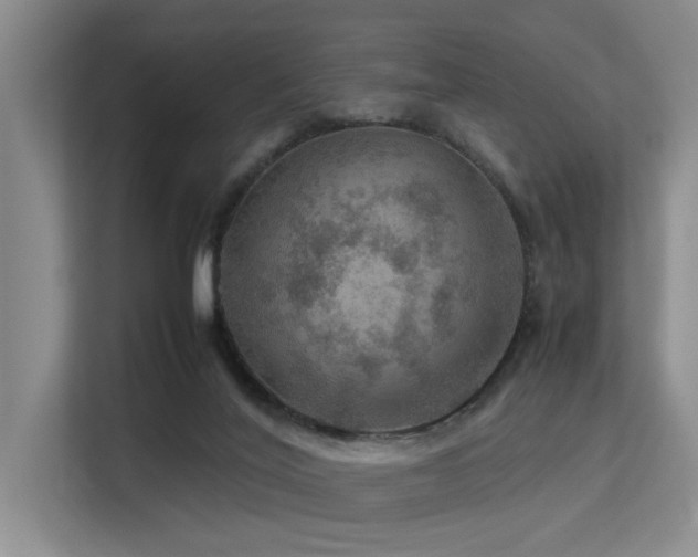 X0000113310020200909141321