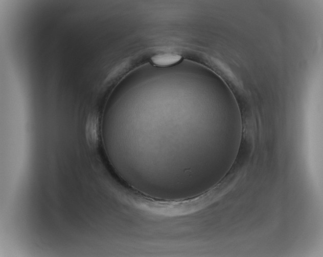 X0000113310023200909141321