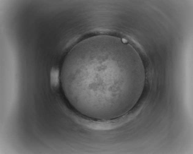 X0000113310024200909141321