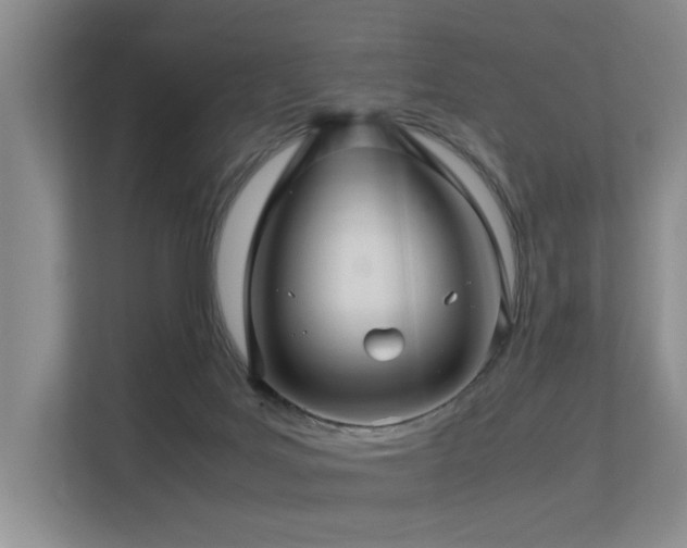 X0000113310027200909141321