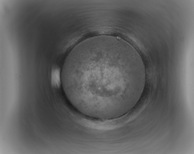 X0000113310028200909141321