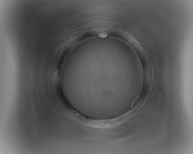 X0000113310029200909141321