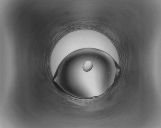 X0000113310035200909141321