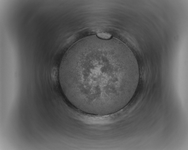 X0000113310036200909141321