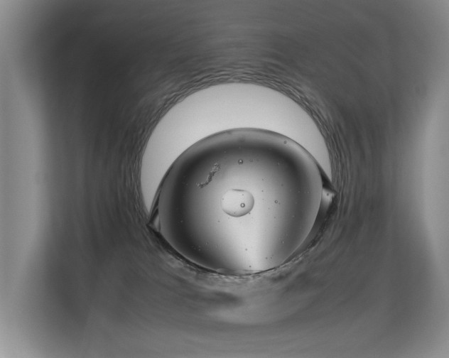 X0000113310037200909141321