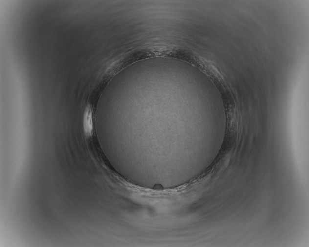 X0000113310042200909141321