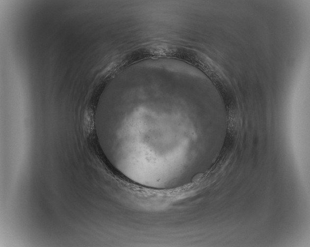 X0000113310043200909141321