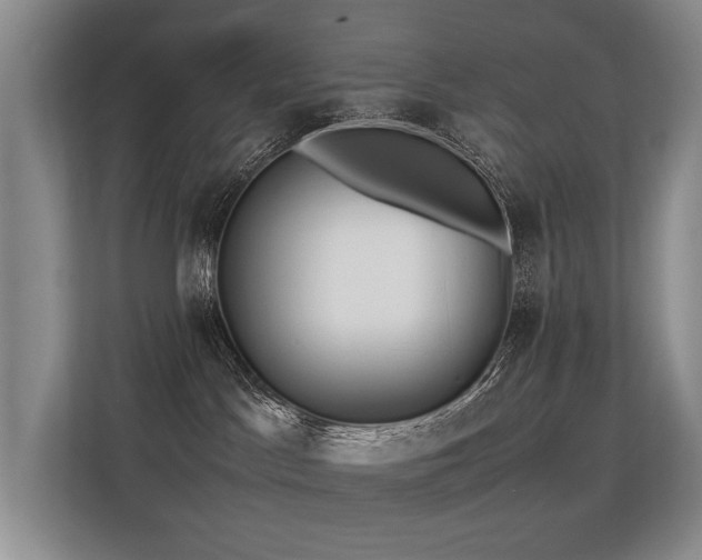 X0000113310045200909141321