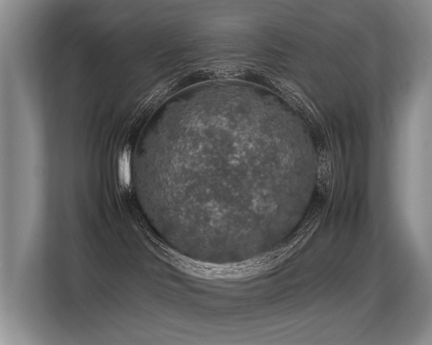 X0000113310046200909141321