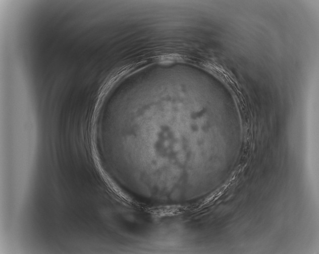 X0000113310049200909141320