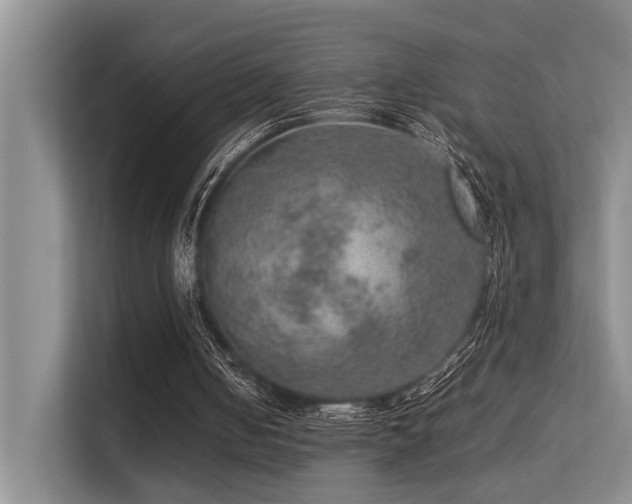 X0000113310050200909141320