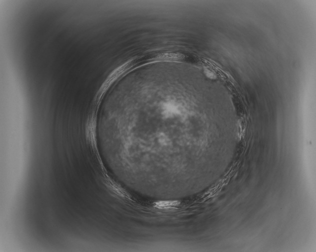 X0000113310051200909141320