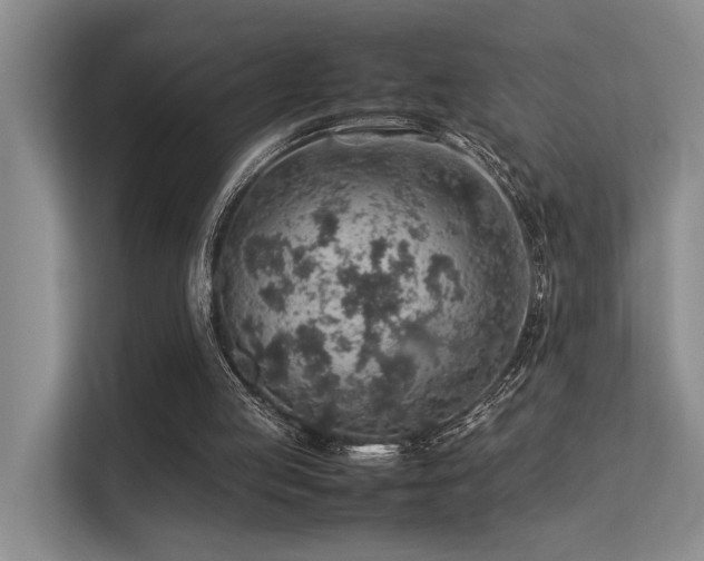 X0000113310053200909141320