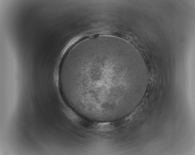 X0000113310054200909141320