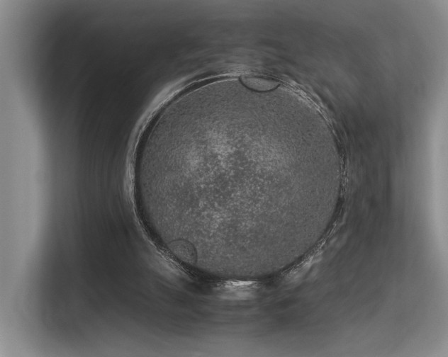 X0000113310055200909141320