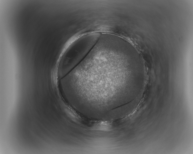 X0000113310056200909141320