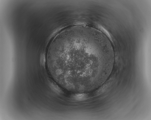 X0000113310059200909141320