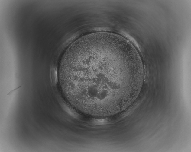 X0000113310061200909141320