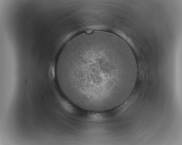 X0000113310062200909141320