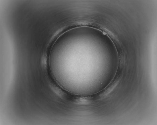 X0000113310064200909141320