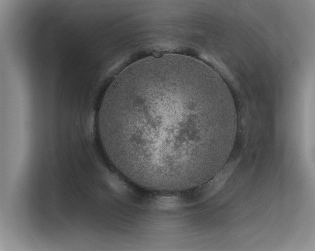 X0000113310066200909141320