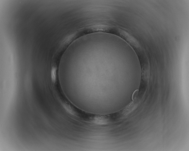 X0000113310070200909141320